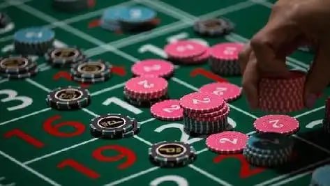516bet