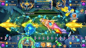 516bet