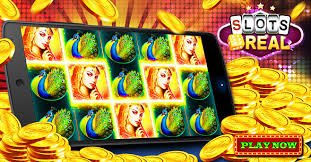 516bet